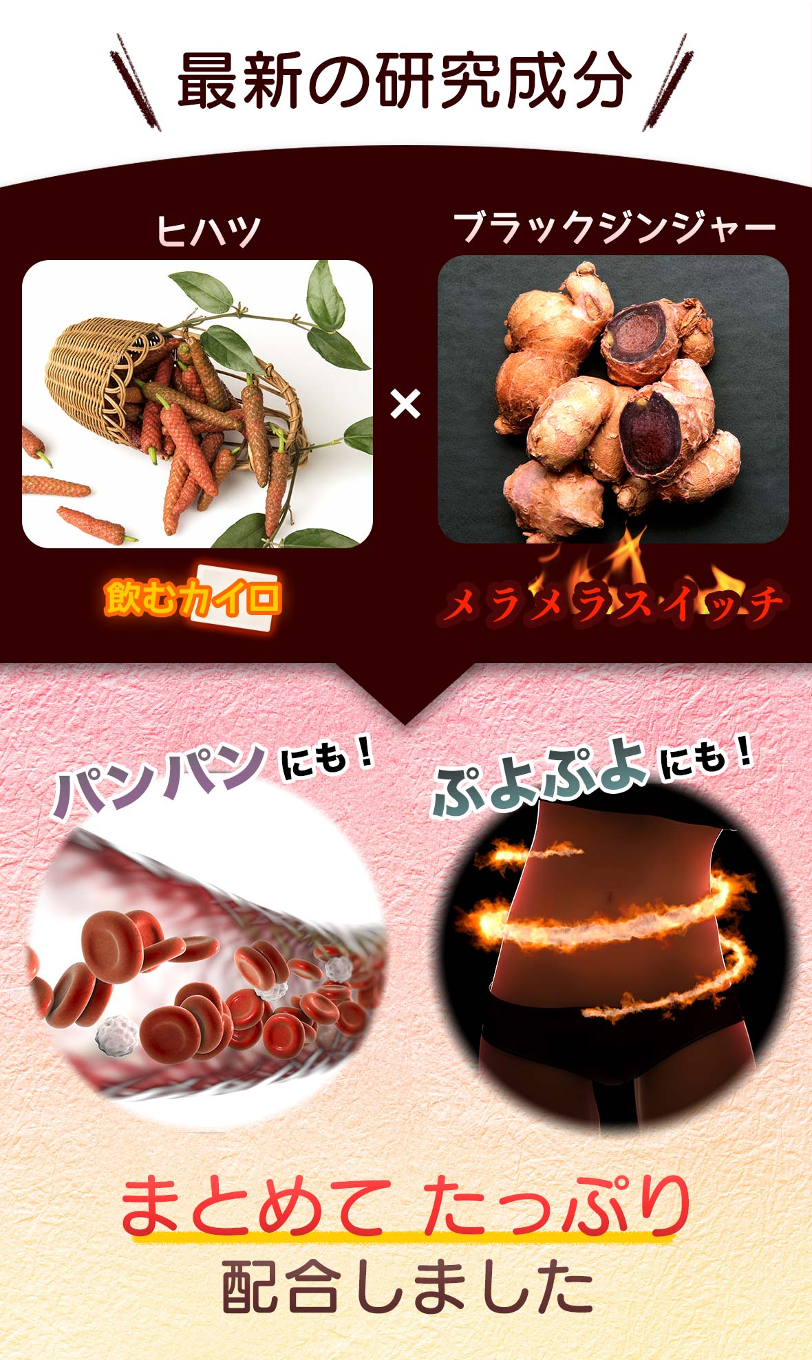 最新の研究成分 ヒハツ ブラックジンジャー 飲むカイロ メラメラスイッチ パンパンにも！ ぷよぷよにも！ まとめてたっぷり配合しました